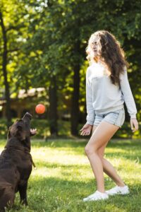 Descubra a importância da vitamina para cachorro na manutenção da saúde e energia