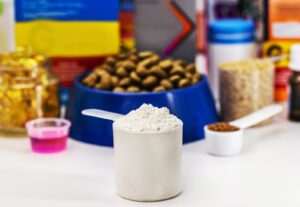 Vitaminas para cães: benefícios para a digestão e saúde intestinal do seu melhor amigo